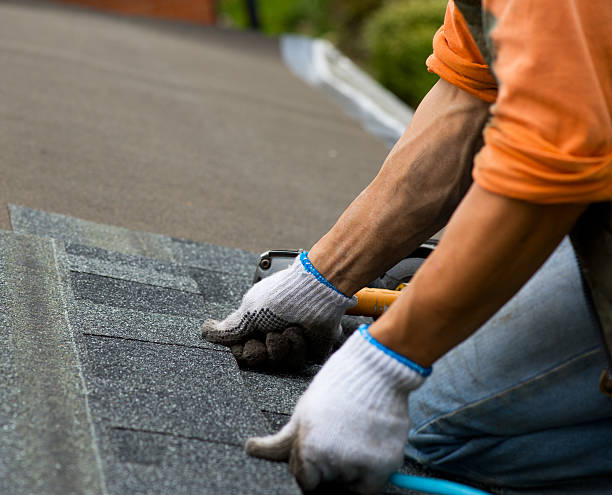 Best Storm Damage Roof Repair  in Owings, MD
